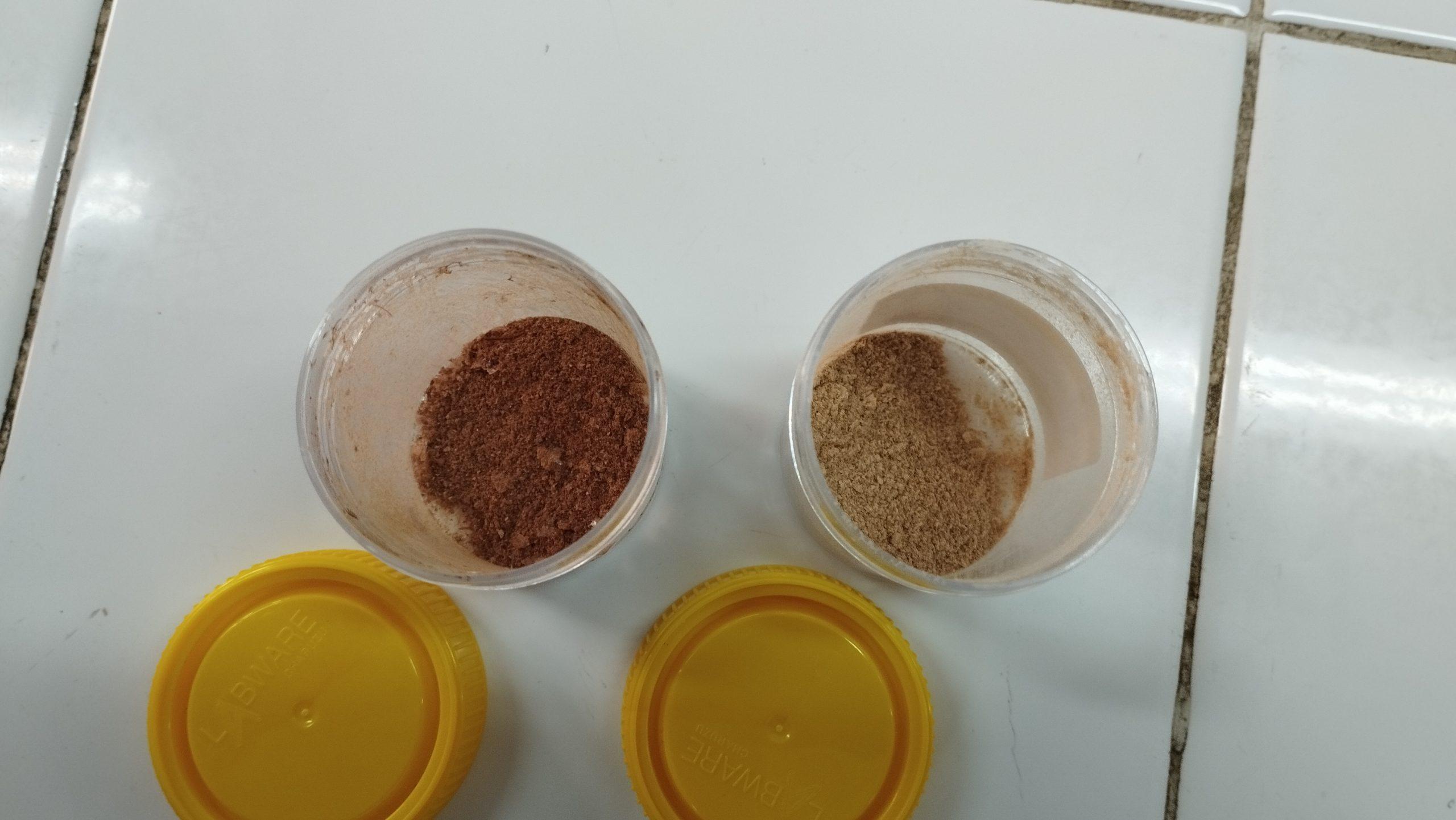 Nanocapsusts Fucoidan meningkatkan kerja kanker - Weisetas Airlanggagga