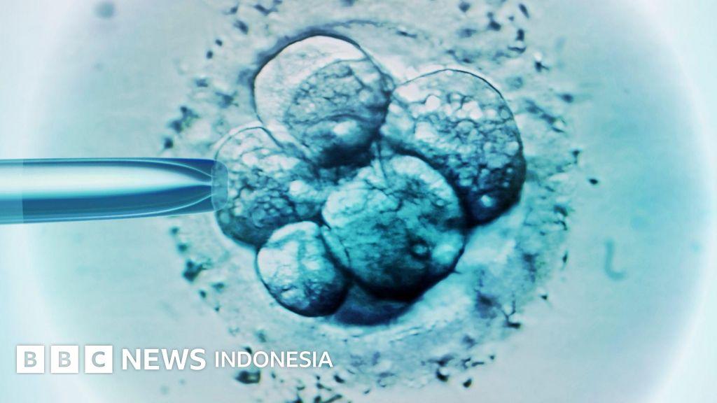 Anak -anak lahir dari Bright 31 - Indonesian News
